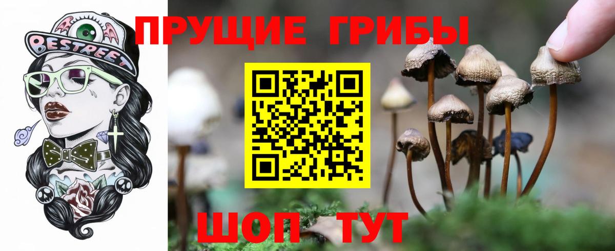 Псилоцибиновые грибы прущие грибы  Вход с VPN  Борисоглебск 